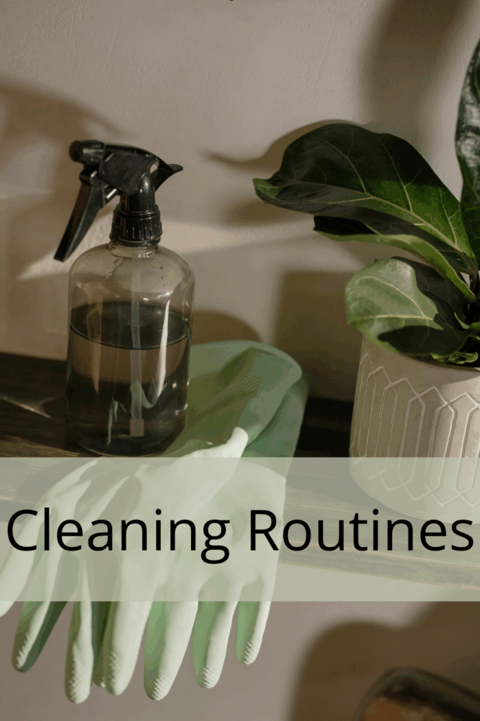 Cleaning Routines
