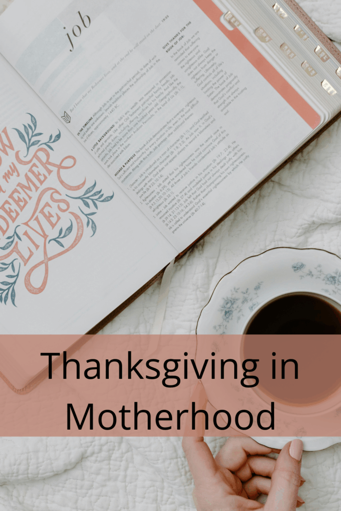 thanksgiving in motherhood