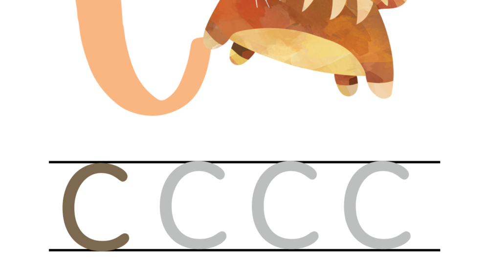 Tot School Curriculum – Letter Basket C